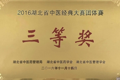 2016湖北省中醫(yī)經(jīng)典大賽團體獎三等獎